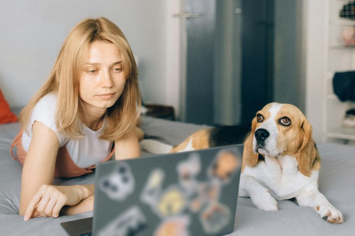 Top_10_Pet_Affiliate_Programs_to_Boost_Your_Online_Income_ (Small)